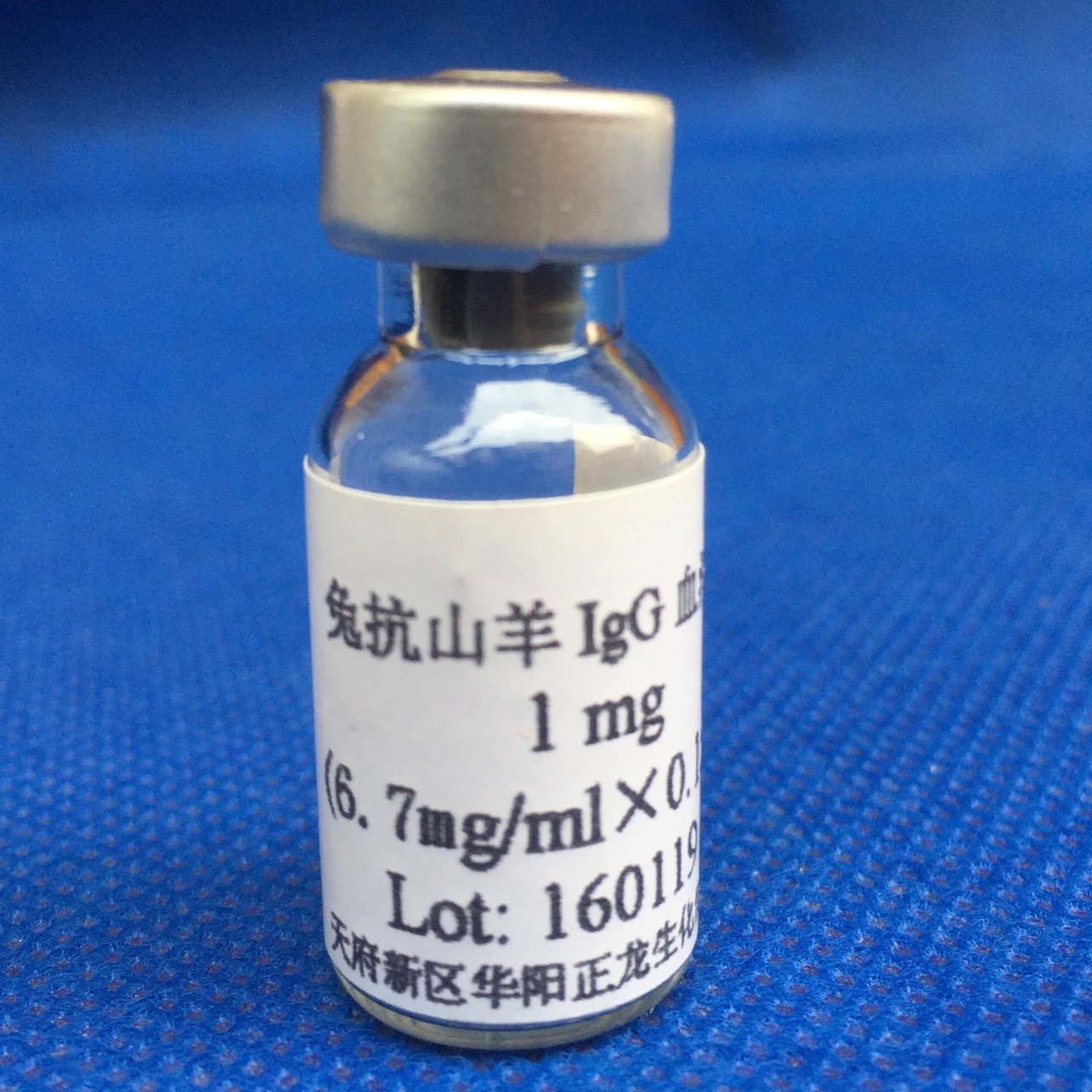 �ÿ�ɽ��IgG����-10MG