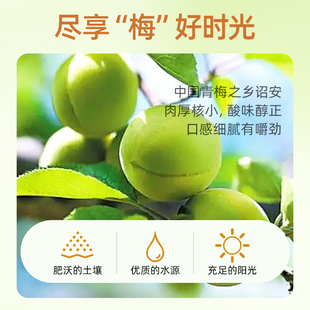 ����Ԓ÷�ɹ��b����÷����ˮ��÷���ЋD���e��ʳ���ɹ������T÷��