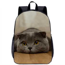 可爱小猫书包 图片LOGO彩印17寸小学生背包青少年双肩包跨境代发
