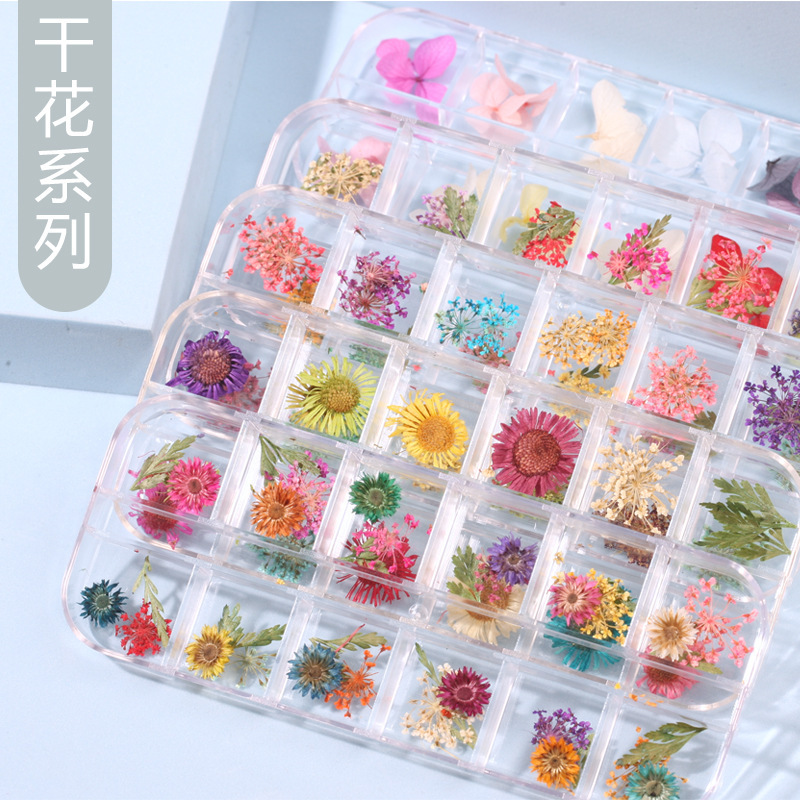 Dried Flower Face Petal Makeup Eye Makeup Face Decal Children's Makeup Petal Nail Jewelry Forever Flower Cross Border Dried Flower Face Petal Makeup Eye Makeup Face Decal Children's Makeup Petal Nail Jewelry Forever Flower Cross Border
