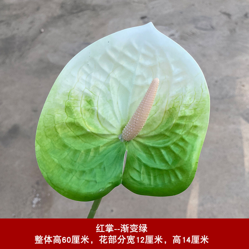 팜 그라데이션 그린 업그레이드