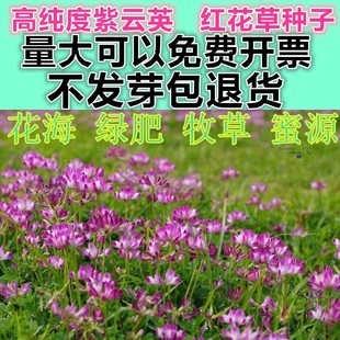 ���Ӣ�N�ӹ��@�G�ʼt�����ѷN���ļ��߮a�����B����Դֲ��ɵ���