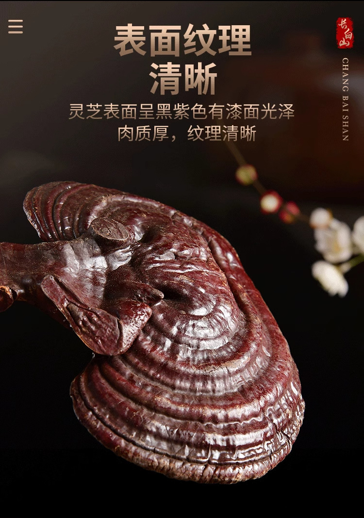 Changbai Mountain Reishi Mushroom Whole Dried Gift Box Lingzhi Zi Zhi 180g overview