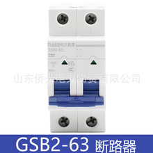 ��ˮ��һ��GSB2-63LMH C6A10A16A32A50A63A�՚��_�P TIANSHUI213