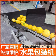 水果全自動包裝機 臍橙香水檸檬自動上料打包機 葡萄柚枕式包裝機