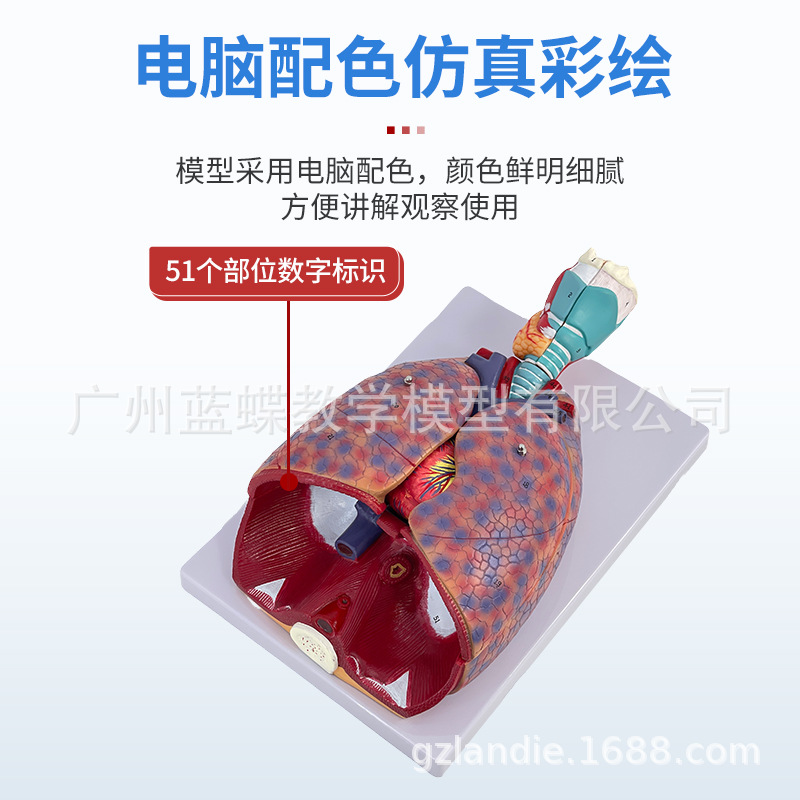 ��Ȼ��������ķ�ģ�ͺ�����״�ٷ�����ģ�ͺ���ϵͳ�β��������