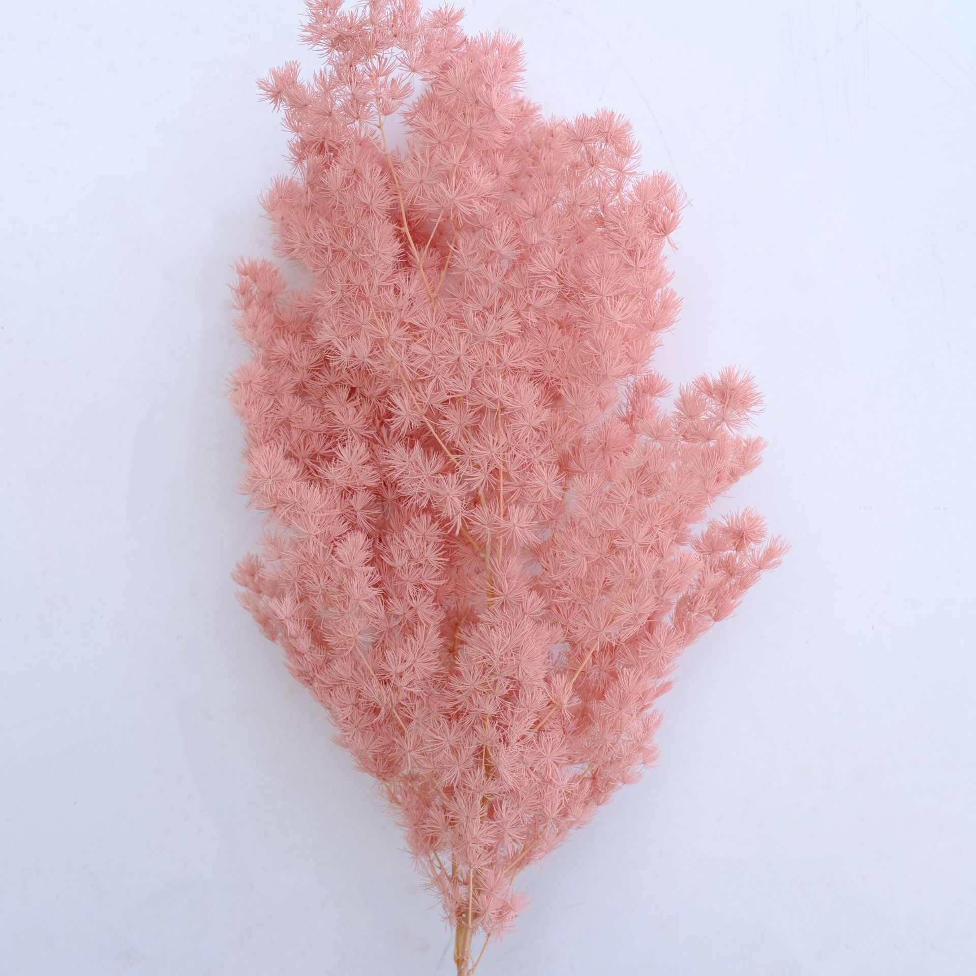 Flesh pink