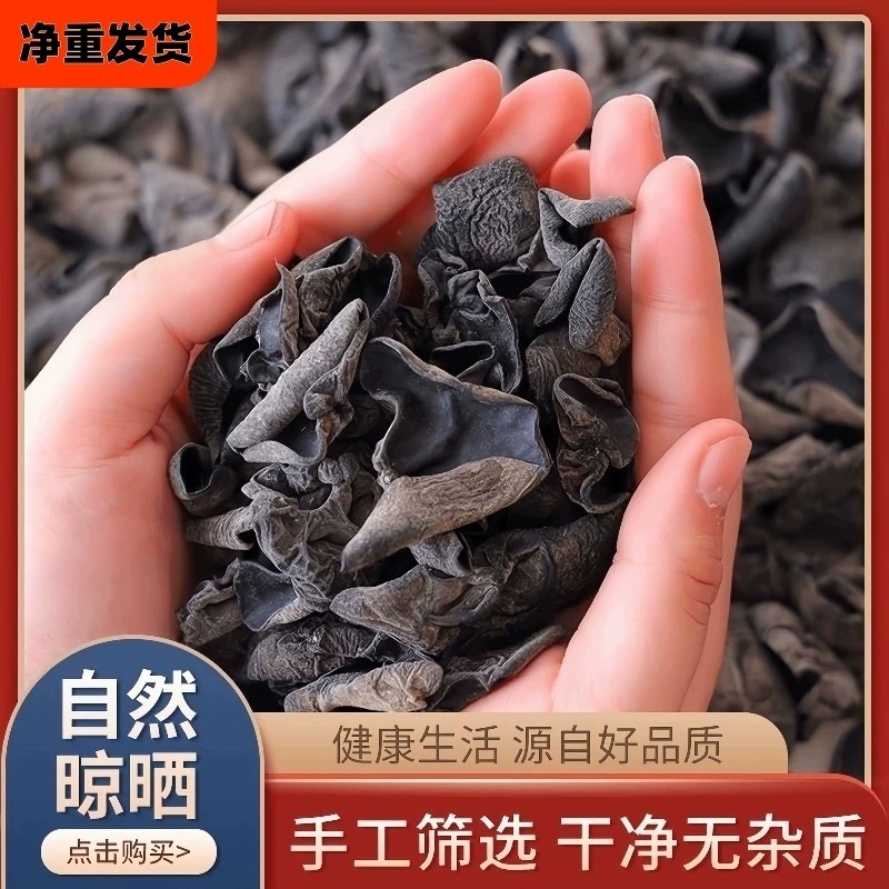 東北特産秋きくらげ 250g 黒きくらげ 乾物 肉厚袋入り 長白山小鉢きくらげ まとめ買い|undefined