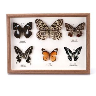 ������˱���� �Wʽ���diy���w���s�b��Ҿ��ֹ��[�����նY��
