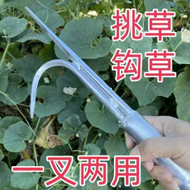 镰刀;修枝剪;铲子