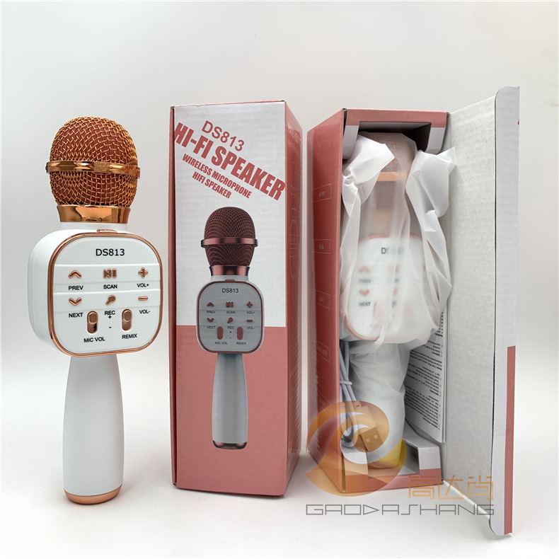 DS813无线麦克风