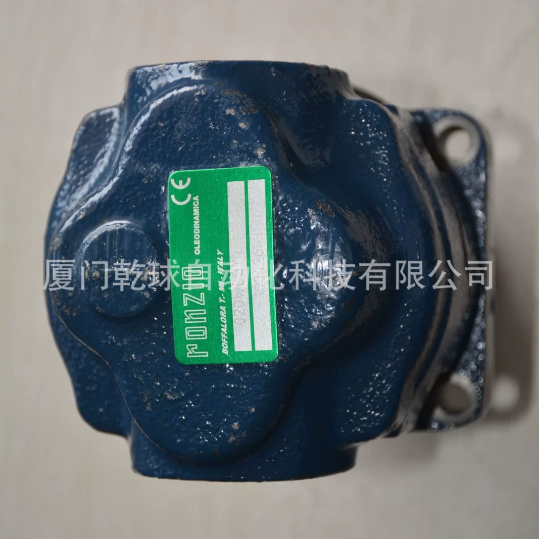 Италия RONZIO Rodz выбор 040WCG110P640S чугунный шестеренный насос