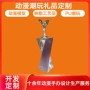 ip个性化定制年会模型