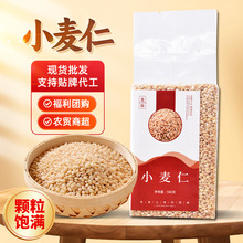 新米新鲜小麦仁米农家自产加工脱皮去皮小麦粒五谷杂粮小麦仁