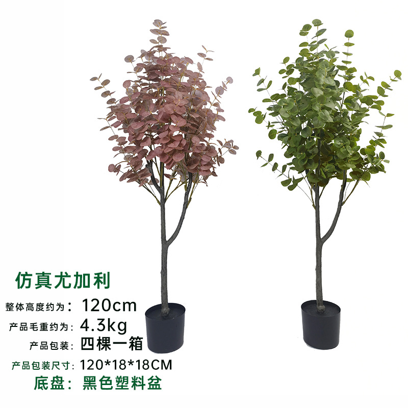 Simulación de estilo de desmontaje transfronterizo Eucalipto en maceta Eucalipto Centro comercial Sala de estar Ventana Decoración de plantas de piso a techo