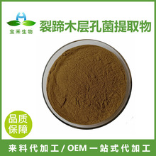裂蹄木层孔菌提取物10:1 裂蹄木层孔菌多糖 水溶裂蹄木层孔菌粉SC