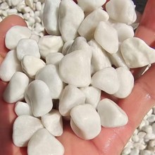 ɫʯ̵Сʯͷ԰ֻʯͥԺ·쾰ʯ