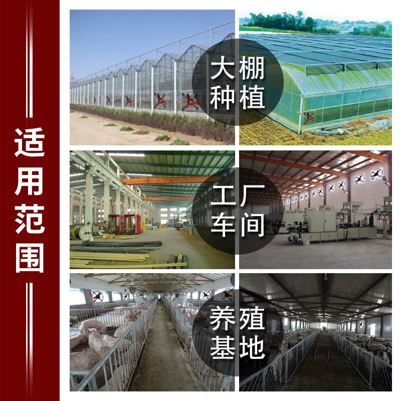 Powerful high speed air fan, high power