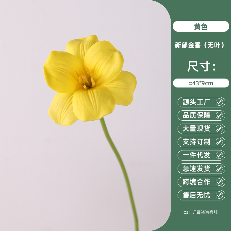 Yellow New Tulip (Leafless)