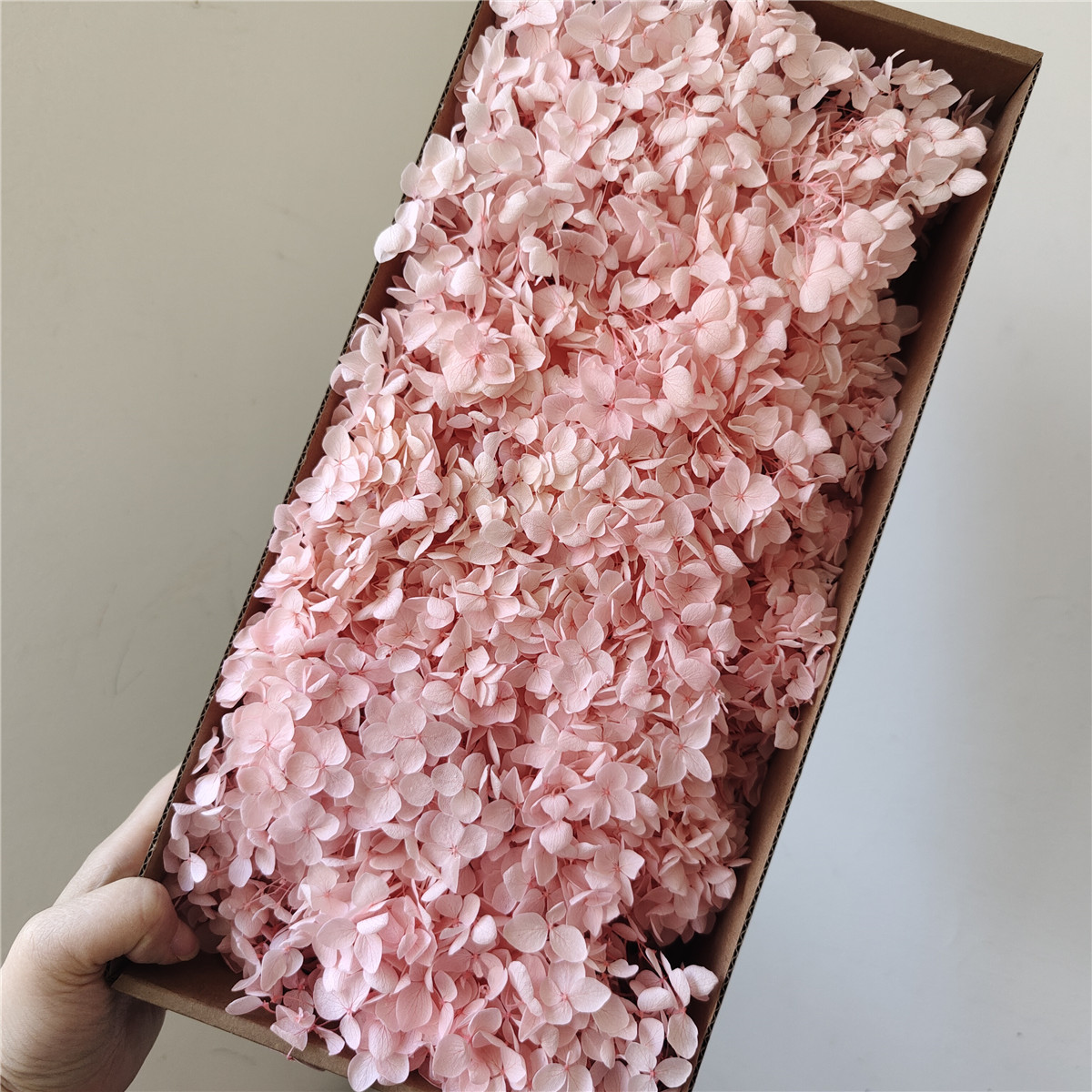 Flor eterna Hortensia Anna pequeña hoja flor seca flor real árbol de Navidad ventilador hecho a mano ramo DIY material paquete flor