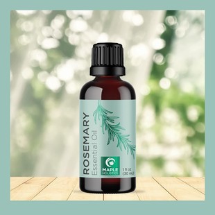 �羳�Ե��㾫��Rosemary Essential Oil혻��o�l��޹����