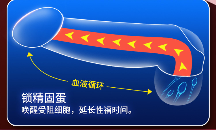 Vibrating Realistic Dildo 19.7 cm TPE Shaft with Textured Crystal-Clear Cover — detail image 3