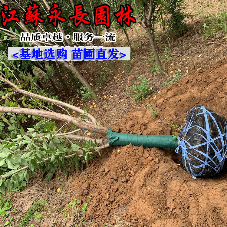 微信图片_2029053024