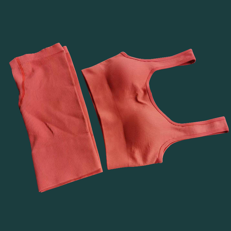 오렌지 스퀘어 칼라