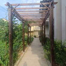8V防腐木葡萄架庭院碳化木户外凉亭室外廊架爬藤木架子花架长廊定