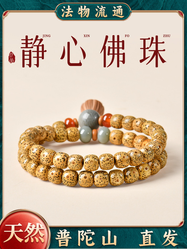 Putuo Mountain Natural Star and Moon Bodhi Bracelet Double Circle Bodhi Seed Buddha Beads Rosary Emotional Stability Bracelet Women's Model