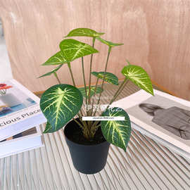 仿真植物绿植盆栽装饰把束过胶叶子植物墙插花配材绿叶万年青绿萝