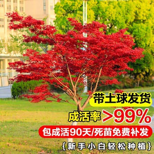 �t�������ļ��t���Լt�輧�ձ��t���ļ����BͥԺ�҃��ͺ�ֲ���辰