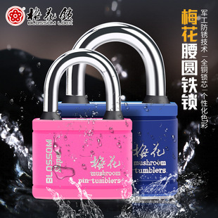 Plum lock color lock wardrobe lock locker lock lock waterproof anti-rust lock large door lock cabinet lock warehouse lock