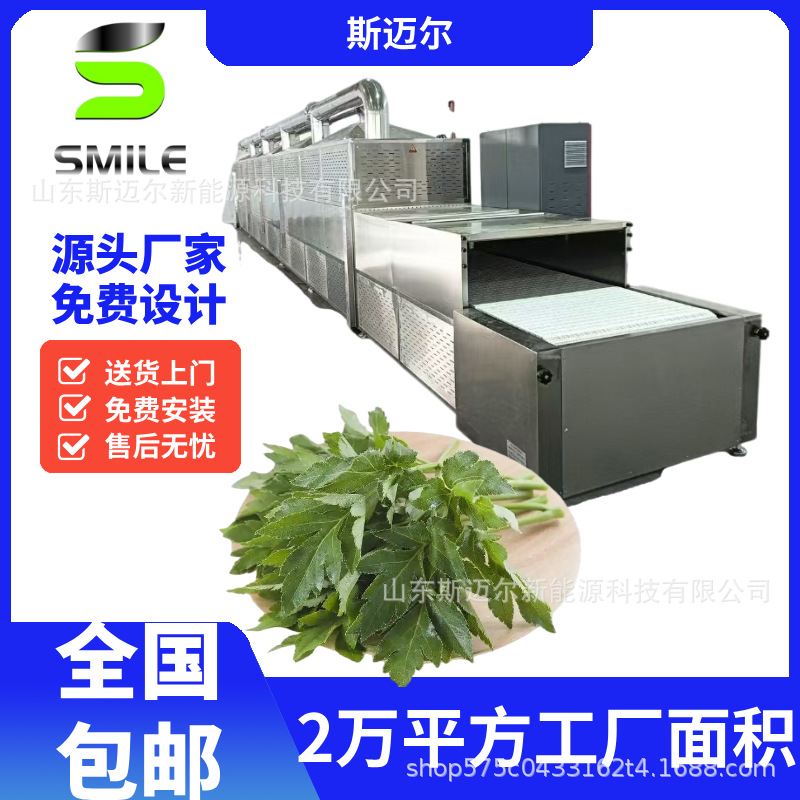 大型食叶草烘干机 蛋白草氨基酸草脱水干燥设备长寿草干燥厂家