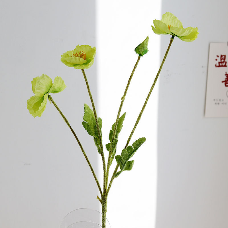 고급 녹색