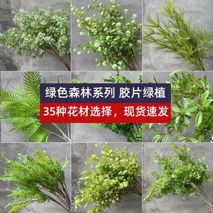 ��֦���M�������R����G�\�Gɭϵ��Y��c�b�·���廨�����~��