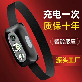 手电筒;头灯头戴电筒;野营/露营灯
