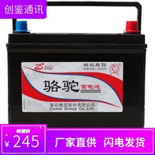 骆驼蓄电池6-QW-36适用于本田飞度哥瑞理念锋范铃木奥拓汽车电瓶
