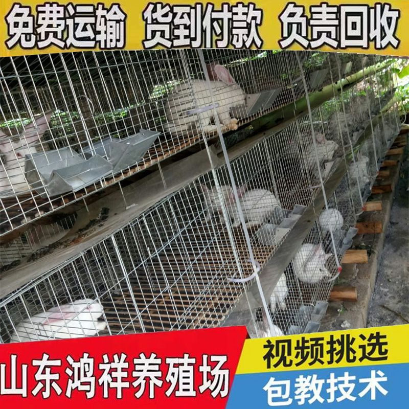 4ca3efd8abf7414e9aa0c32ae46438