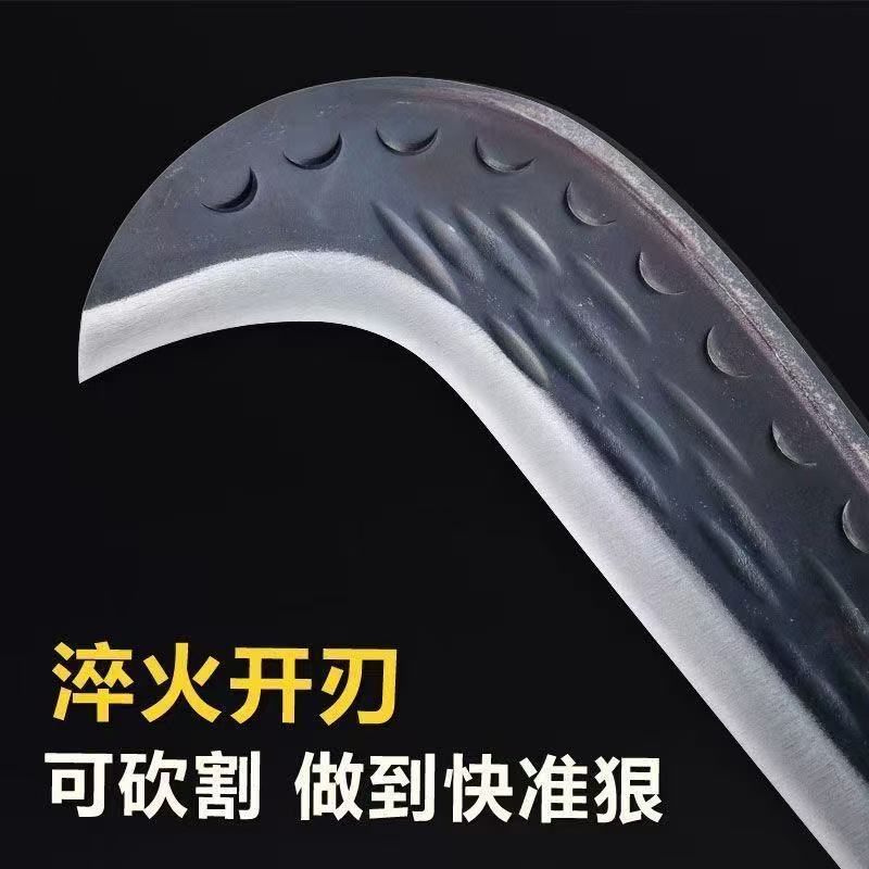 微信图片_20260207111035_84_28.jpg