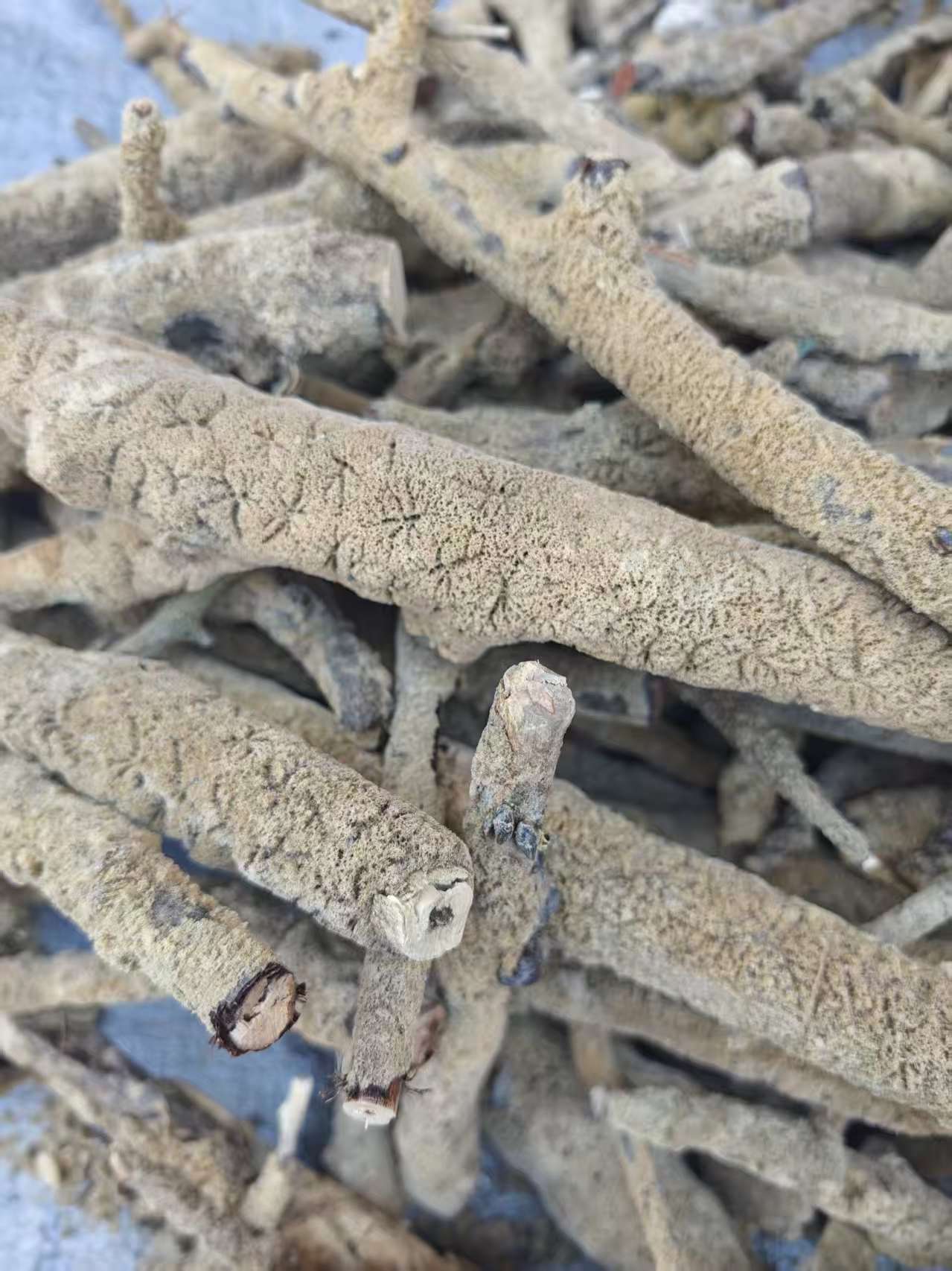 Zi Xiao Hua (Spongilla fragilis) — Dried Freshwater Sponge Herb, 500g Culinary Grade key features