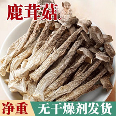 鹿茸菌无熏硫鹿茸菇新干香菇干货鹿茸菇煲汤食材干货鹿茸菇商用批
