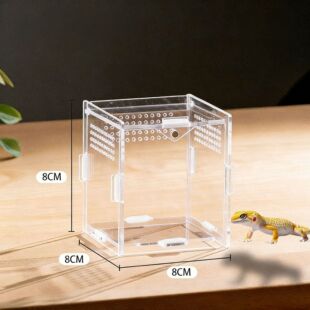 ƴ����B��͸�����������x��B��΁ţС�����x���������x���b����