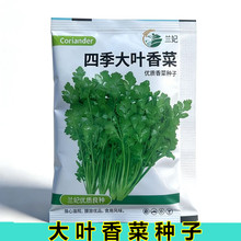 ���ߴ�9-12cm���m���ļ����~��˷N�Ӽ�ͥ��@�Nֲ�͟��߲˷N��