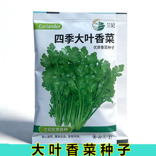 ���ߴ�9-12cm���m���ļ����~��˷N�Ӽ�ͥ��@�Nֲ�͟��߲˷N��