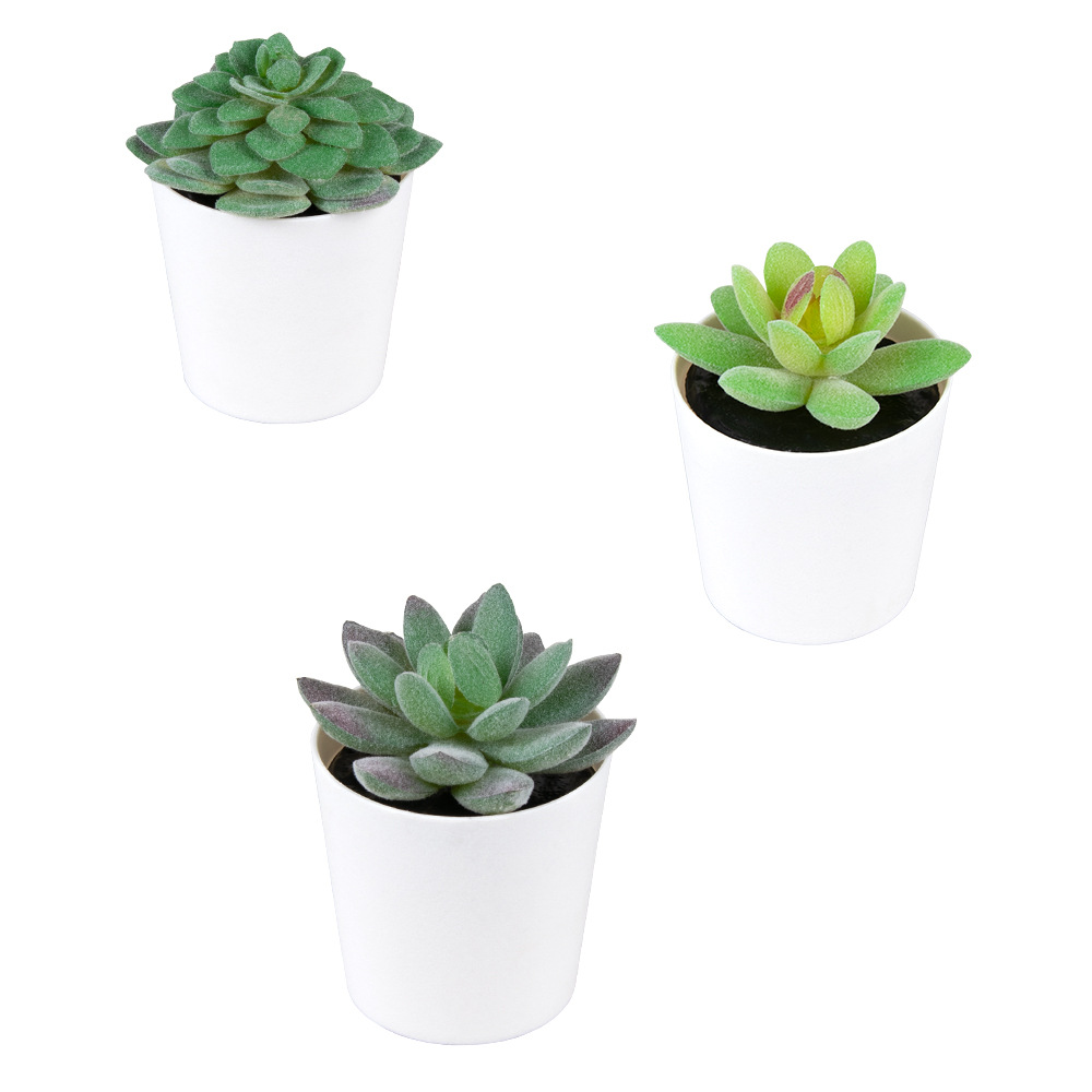 Tamaño pequeño de hadas Kedudo carne mini olla de simulación de plástico esmerilado pequeño bonsai decoración de escritorio regalo simulación suculento
