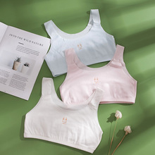 少女内衣发育期小学生夏季薄款初中生高中纯棉文胸儿童女童小背心