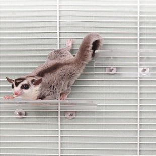 �۴�����̨��߻\����Ʒ������ƽ̨��֦�}������̤�����������쾰