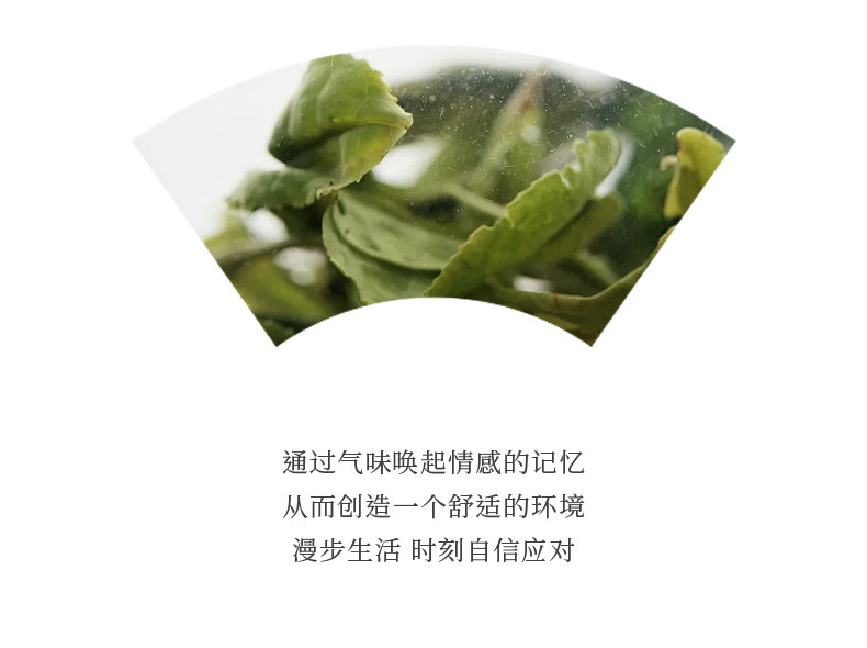 Car-mounted flameless aromatherapy diffuser with a high-end feel, long-lasting fragrance, home-use reed diffuser, toilet deodorizer, air freshener