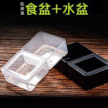 �������÷���ʳˮ���ת{���،m����֩�����ʳ�����x��B��ιʳ��